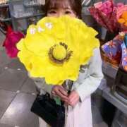 ヒメ日記 2025/12/07 07:31 投稿 星かんな 多恋人倶楽部