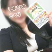 ヒメ日記 2026/10/20 06:15 投稿 さくら SOARIS-ソアリス-