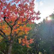 ヒメ日記 2025/11/07 14:52 投稿 さら ぷるるん小町 京橋店