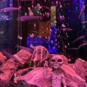 ヒメ日記 2025/11/23 15:26 投稿 さら ぷるるん小町 京橋店