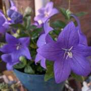 ヒメ日記 2025/10/28 06:55 投稿 須藤 熟女の部屋