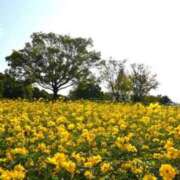 ヒメ日記 2025/11/01 09:39 投稿 須藤 熟女の部屋