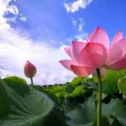 ヒメ日記 2025/11/22 21:41 投稿 須藤 熟女の部屋