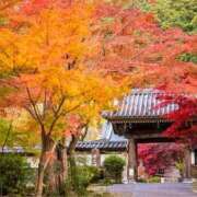 ヒメ日記 2025/11/24 12:04 投稿 須藤 熟女の部屋