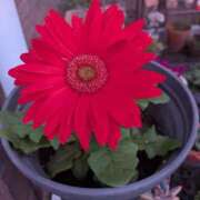 須藤 素敵な1日をお過ごしできますように。 熟女の部屋