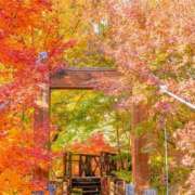 ヒメ日記 2025/12/11 09:11 投稿 須藤 熟女の部屋