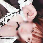 ヒメ日記 2025/12/29 08:30 投稿 【新人】さくら 神奈川小田原ちゃんこ