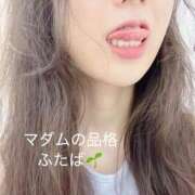 ヒメ日記 2025/10/13 21:59 投稿 ふたば マダムの品格