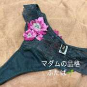 ヒメ日記 2025/11/13 19:00 投稿 ふたば マダムの品格