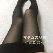 ふたば 少し透けたタイツ マダムの品格