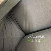 ヒメ日記 2026/02/28 20:00 投稿 ふたば マダムの品格