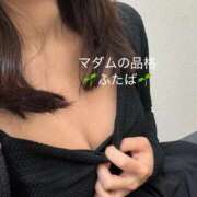 ふたば [お題]from:麦さん マダムの品格
