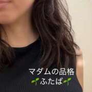 ヒメ日記 2026/09/25 20:17 投稿 ふたば マダムの品格