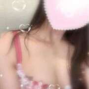 さくら 今日もいるよっ ぐっすり山田 横浜店