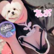 ヒメ日記 2025/10/18 07:10 投稿 ねお Queen Angel(クイーンエンジェル)