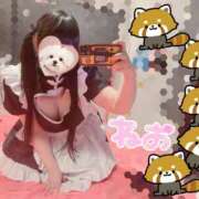 ヒメ日記 2025/12/09 09:24 投稿 ねお Queen Angel(クイーンエンジェル)