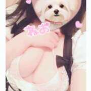 ヒメ日記 2025/12/15 09:46 投稿 ねお Queen Angel(クイーンエンジェル)