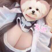 ねお 🐼ᩚQ🌈 Queen Angel(クイーンエンジェル)