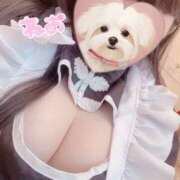 ヒメ日記 2026/03/10 14:55 投稿 ねお Queen Angel(クイーンエンジェル)