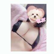 ヒメ日記 2026/03/27 09:30 投稿 ねお Queen Angel(クイーンエンジェル)