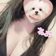 ヒメ日記 2026/04/05 07:08 投稿 ねお Queen Angel(クイーンエンジェル)