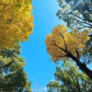 ヒメ日記 2025/11/16 14:54 投稿 かよ みるくDX