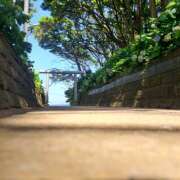 ヒメ日記 2025/11/21 10:17 投稿 かよ みるくDX