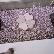 ヒメ日記 2026/02/12 11:50 投稿 かよ みるくDX