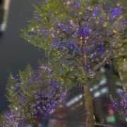 ヒメ日記 2025/10/25 19:40 投稿 泉さとみ スピードエコ天王寺店