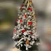 ヒメ日記 2025/12/16 23:00 投稿 泉さとみ スピードエコ天王寺店