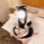 ヒメ日記 2026/02/01 17:10 投稿 泉さとみ スピードエコ天王寺店