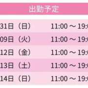 ヒメ日記 2026/06/01 00:10 投稿 泉さとみ スピードエコ天王寺店