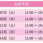 ヒメ日記 2026/07/06 11:00 投稿 泉さとみ スピードエコ天王寺店