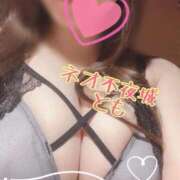 ヒメ日記 2026/03/28 09:29 投稿 とも NEO不夜城