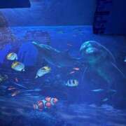 ヒメ日記 2025/10/26 15:02 投稿 櫻恋-さくらこ【FG系列】 ほんとうの人妻　柏店