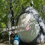 ヒメ日記 2026/05/30 18:38 投稿 えりか とある風俗店♡やりすぎさーくる新宿大久保店♡で色んな無料オプションしてみました