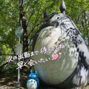 ヒメ日記 2026/05/30 18:48 投稿 えりか とある風俗店♡やりすぎさーくる新宿大久保店♡で色んな無料オプションしてみました