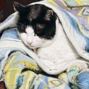 ヒメ日記 2026/01/21 01:24 投稿 三葉つづみ 禁断のメンズエステR-18堺・南大阪店