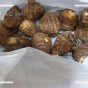 ヒメ日記 2025/11/08 01:22 投稿 滝 麻琴(たきまこと) 五十路マダムエクスプレス厚木店(カサブランカグループ)