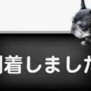 ヒメ日記 2025/11/21 12:02 投稿 滝 麻琴(たきまこと) 五十路マダムエクスプレス厚木店(カサブランカグループ)