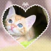 ヒメ日記 2025/11/27 11:56 投稿 滝 麻琴(たきまこと) 五十路マダムエクスプレス厚木店(カサブランカグループ)