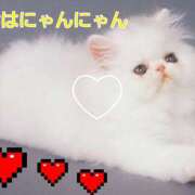 ヒメ日記 2026/01/08 09:44 投稿 滝 麻琴(たきまこと) 五十路マダムエクスプレス厚木店(カサブランカグループ)