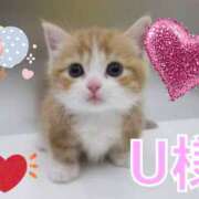 ヒメ日記 2026/01/09 02:46 投稿 滝 麻琴(たきまこと) 五十路マダムエクスプレス厚木店(カサブランカグループ)