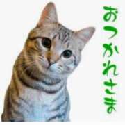 ヒメ日記 2026/02/10 21:52 投稿 滝 麻琴(たきまこと) 五十路マダムエクスプレス厚木店(カサブランカグループ)