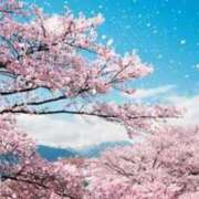 ヒメ日記 2026/03/26 16:58 投稿 滝 麻琴(たきまこと) 五十路マダムエクスプレス厚木店(カサブランカグループ)