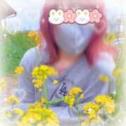 ヒメ日記 2026/04/07 11:54 投稿 滝 麻琴(たきまこと) 五十路マダムエクスプレス厚木店(カサブランカグループ)