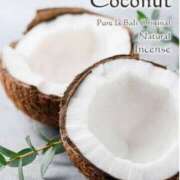 ヒメ日記 2026/04/18 17:38 投稿 滝 麻琴(たきまこと) 五十路マダムエクスプレス厚木店(カサブランカグループ)