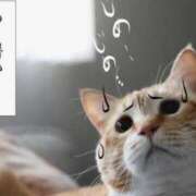 ヒメ日記 2026/04/20 22:00 投稿 滝 麻琴(たきまこと) 五十路マダムエクスプレス厚木店(カサブランカグループ)