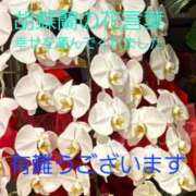 ヒメ日記 2026/05/06 20:44 投稿 滝 麻琴(たきまこと) 五十路マダムエクスプレス厚木店(カサブランカグループ)