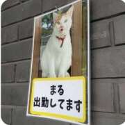 ヒメ日記 2026/07/05 12:16 投稿 滝 麻琴(たきまこと) 五十路マダムエクスプレス厚木店(カサブランカグループ)